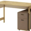 Dzieci Lenart Biurka Do Pokoju Młodzieżowego|Biurka Do Pokoju Dziecięcego*Biurko młodzieżowe z szufladami Lenny LY-04