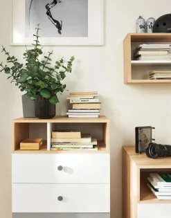 Dzieci Meblar Komody Młodzieżowe|Biurka Do Pokoju Młodzieżowego*Mała komoda z szufladami do pokoju PIXEL PX10 biały,szary,dąb biszkoptowy