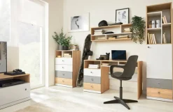 Dzieci Meblar Komody Młodzieżowe|Biurka Do Pokoju Młodzieżowego*Mała komoda z szufladami do pokoju PIXEL PX10 biały,szary,dąb biszkoptowy