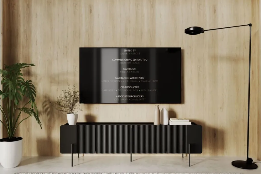 Bogart Szafki Rtv Do Salonu|Szafki Rtv*MALMI Szafka RTV 200 2D2SZ - czarny / czarne nogi