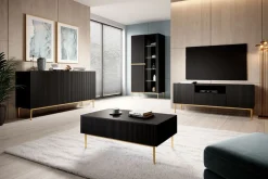 Bogart Witryny*NICOLE WITRYNA 100 2D - czarny mat / złoty stelaż