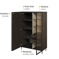 Lenart Szafki I Regały Do Salonu|Witryny Do Salonu*Niska witryna z lamelami Piemonte PE-06