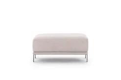 Bogart Pufy*Pufa Meloria