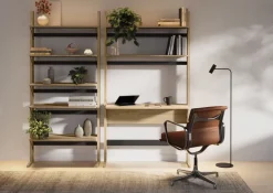 Lenart Komody Do Biura|Komody Do Przedpokoju*Regał dwudrzwiowy 2d OLLIE OL-01 dąb olejowany+ czarny