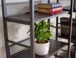 Signal Komody*Regał Raw R5