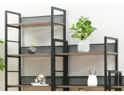 Signal Komody*Regał Raw R5