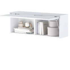 Lenart Tapczany|Szafki Wiszące Do Półkotapczanu*SZAFKA WISZĄCA UCHYLNA BC-29 DO PÓŁKOTAPCZANU BIAŁY POŁYSK/ BIAŁY MAT BED CONCEPT