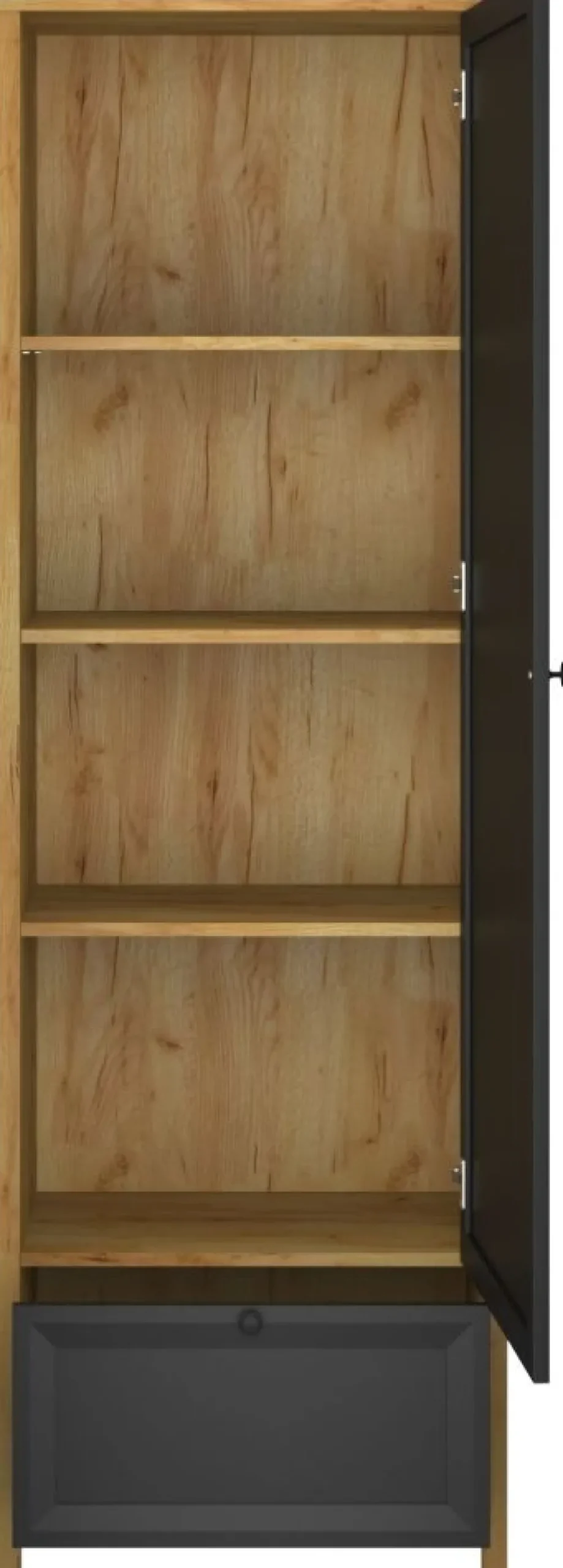 Mebelbos Regały Do Pokoju Młodzieżowego|Szafki I Regały Do Salonu*Wysoki regał Brent 1D1S